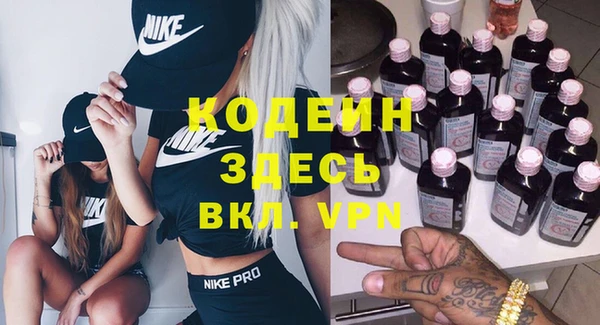 шишки Лагань