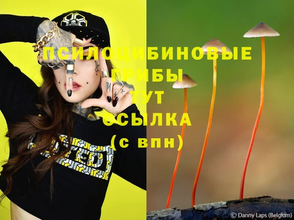 индика Лиски