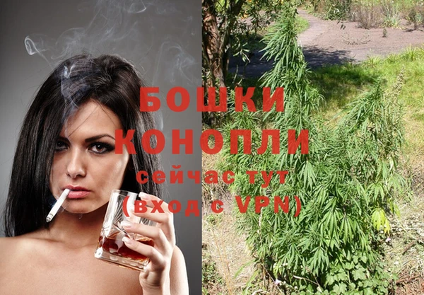шишки Лагань