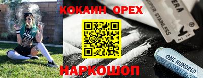 крисы Апшеронск