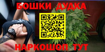 крисы Апшеронск