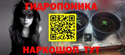 спиды Партизанск