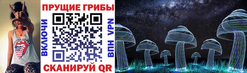 Псилоцибиновые грибы Psilocybine cubensis хочу Тында