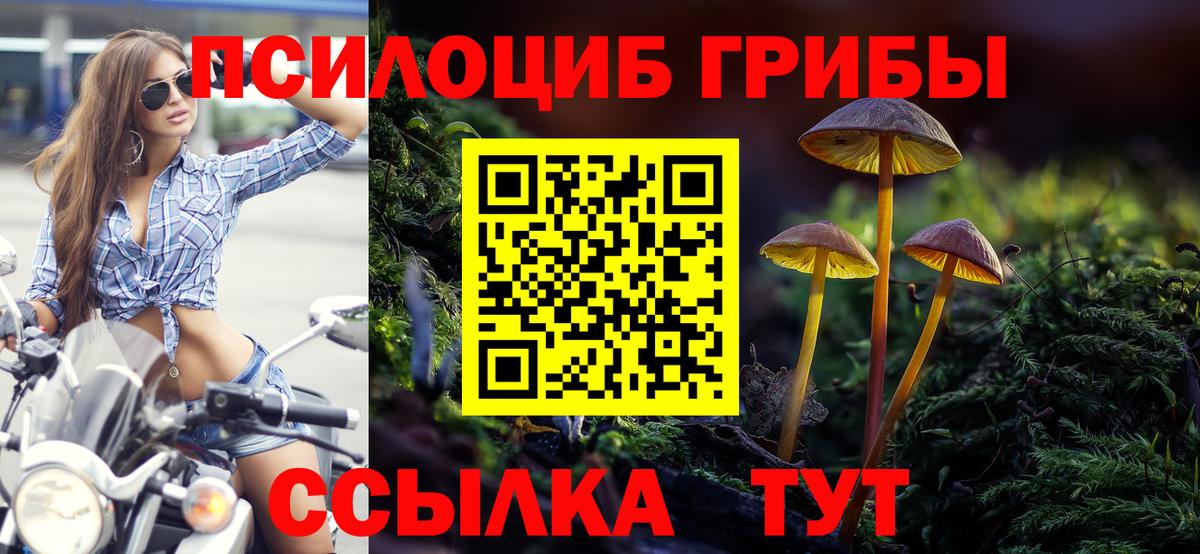 Псилоцибиновые грибы прущие грибы Тында