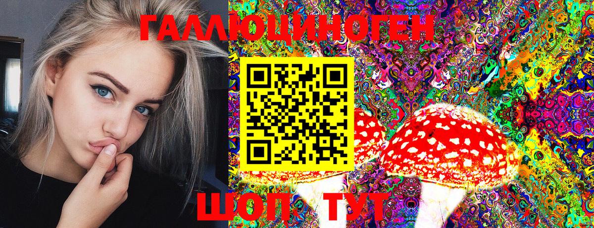 Псилоцибиновые грибы Psilocybe  Вход с VPN  как найти наркотики  Тында 